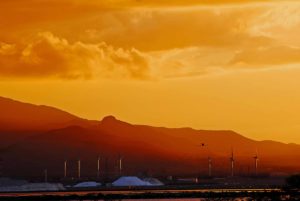 cagliari-saline-a-santa-gilla